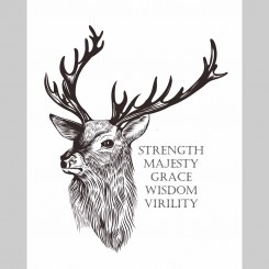 Stag (jpeg file) 8x10 inch