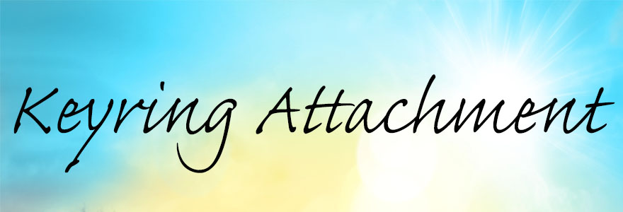 Keyring/ Brooch Attachment