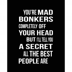 You're Mad (jpeg file) 8x10 inch