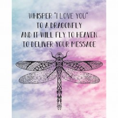 Whisper I Love You to a Dragonfly (jpeg file) 8x10 inch