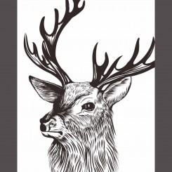 Stag (jpeg file only) 8x10
